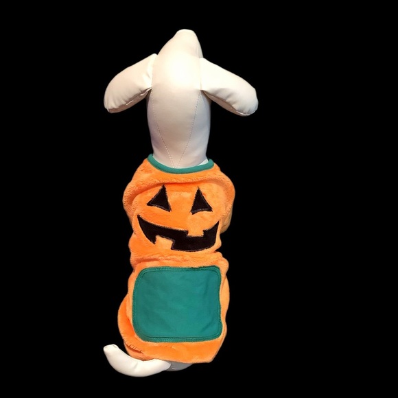 Forever Friends Other - PET JACK O’ LANTERN COSTUME